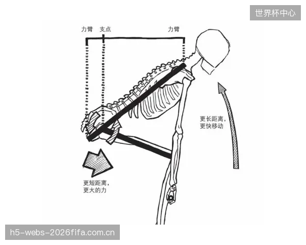 对高柔韧袋鼠皮抗汗滑移特性的研究，正在推动运动生物力学领域建立更精确的人体皮肤与装备材料交互作用模型